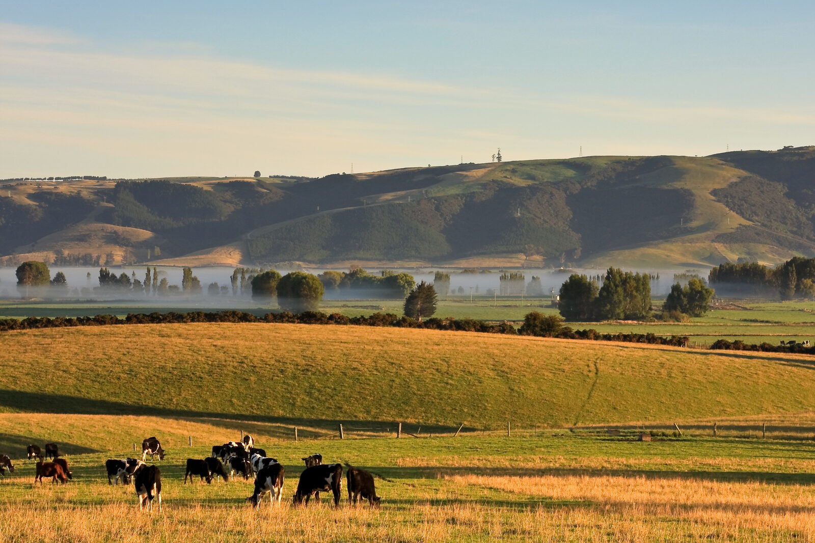 Rural-fringe land on the edge of town
